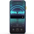 iBasso DX300 (Blue)