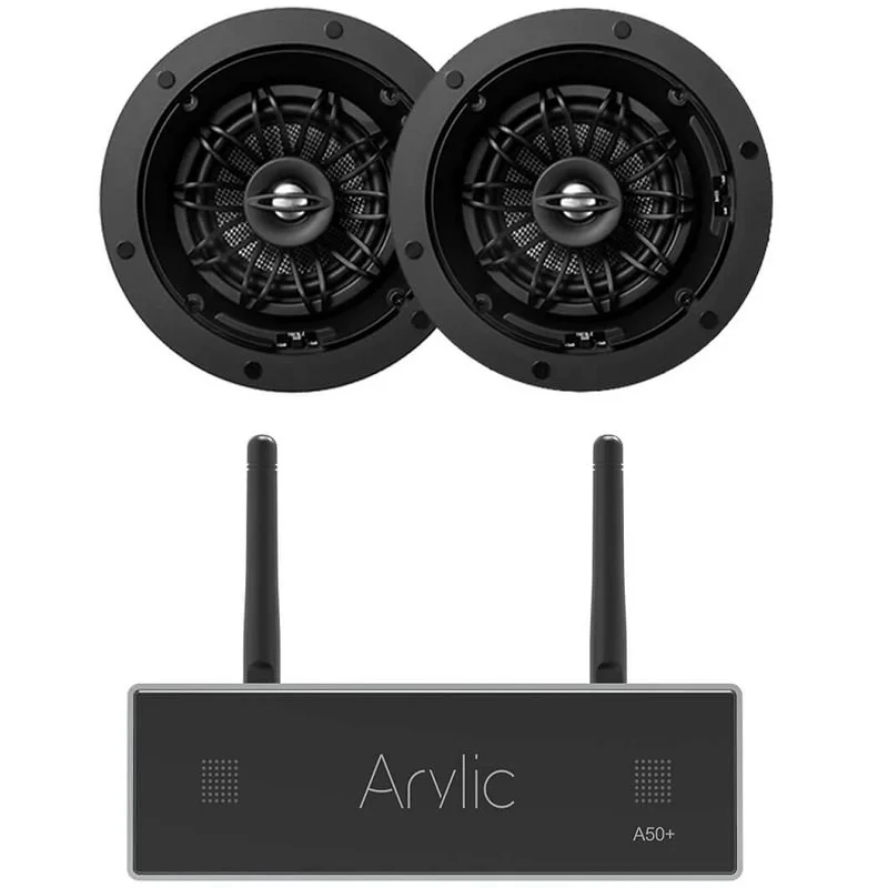 Arylic A50+