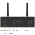 Arylic A50+