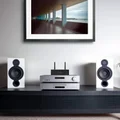 Arylic A50+
