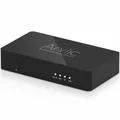 Arylic S10