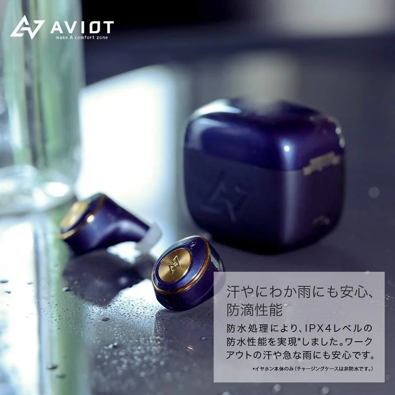 AVIOT TE-D01m True Wireless Bluetooth In-Ear Earphone with Mic - Navy