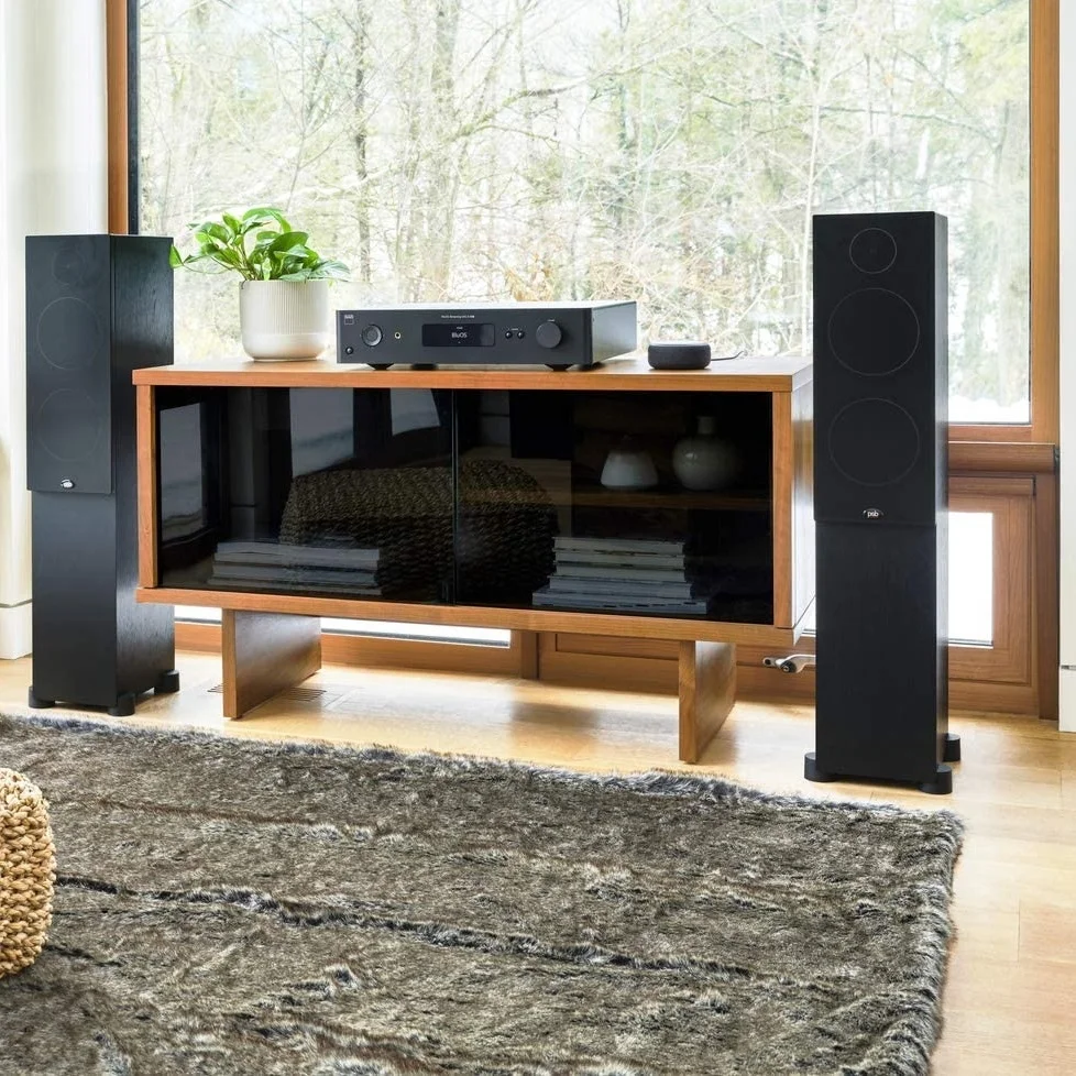 PSB Alpha T20 (Black Ash)