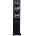 PSB Alpha T20 (Black Ash)