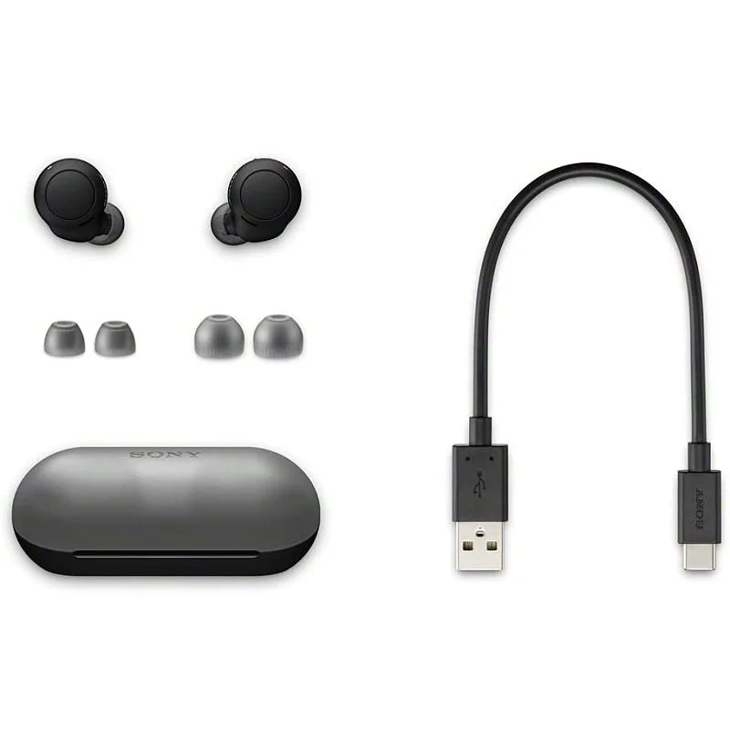 Sony WF-C500 True Wireless Bluetooth In-Ear Earphone with Mic - Black
