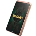 HiBy RS6 MQA DAP (Champagne Gold)