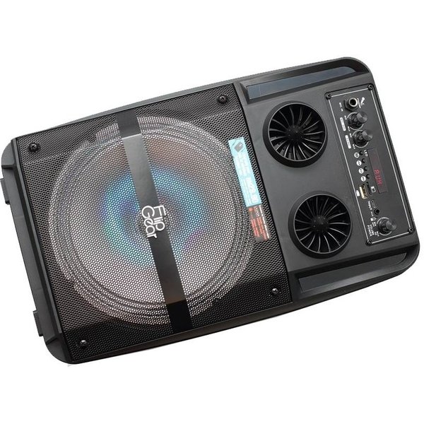 Vinnfier FlipGear Tango 211 WM Wireless Bluetooth Portable Speaker with FM Radio & Wireless Handheld Microphone