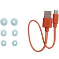 JBL Wave Buds (Mint)
