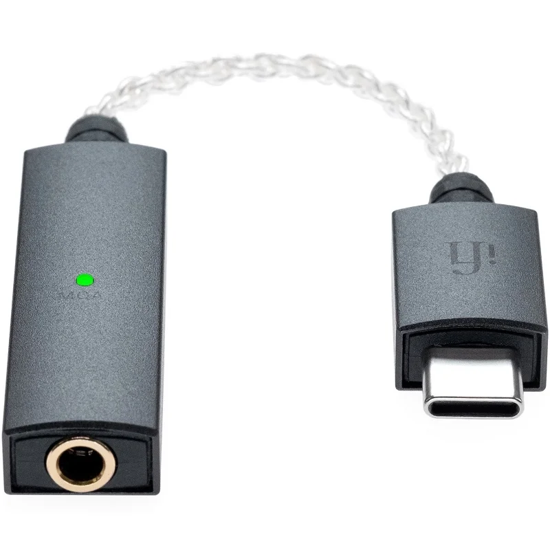 iFi GO link
