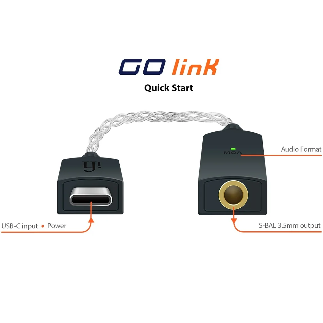 iFi GO link
