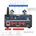 AIYIMA T9 PRO