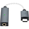 iFi GO link