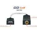 iFi GO link