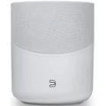 Bluesound PULSE M (White)