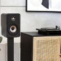 Polk Audio Signature Elite ES15 (Black) Polk Audio Signature Elite ES15 (Black)
