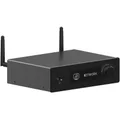 Arylic H50