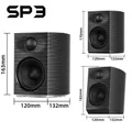 FiiO SP3 (Black)