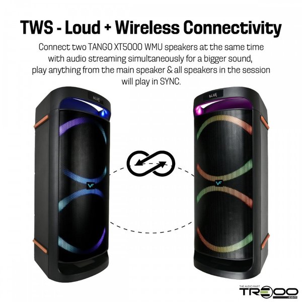 Vinnfier Tango XT5000 Wireless Bluetooth Portable Speaker with FM Radio & Dual Wireless Handheld Microphones