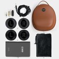 FiiO FT5 FiiO FT5